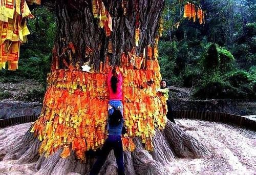 寻仙|中国因愚公移山而火的山，现为4A景区，有“擎天地柱”美誉