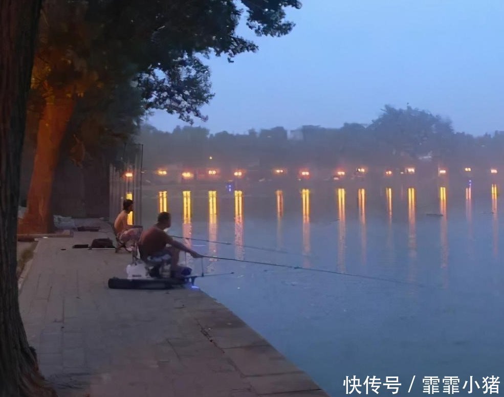 小鱼|你不知道的用酒米打窝诱鱼技巧!小鱼不闹窝,大鱼全上钩