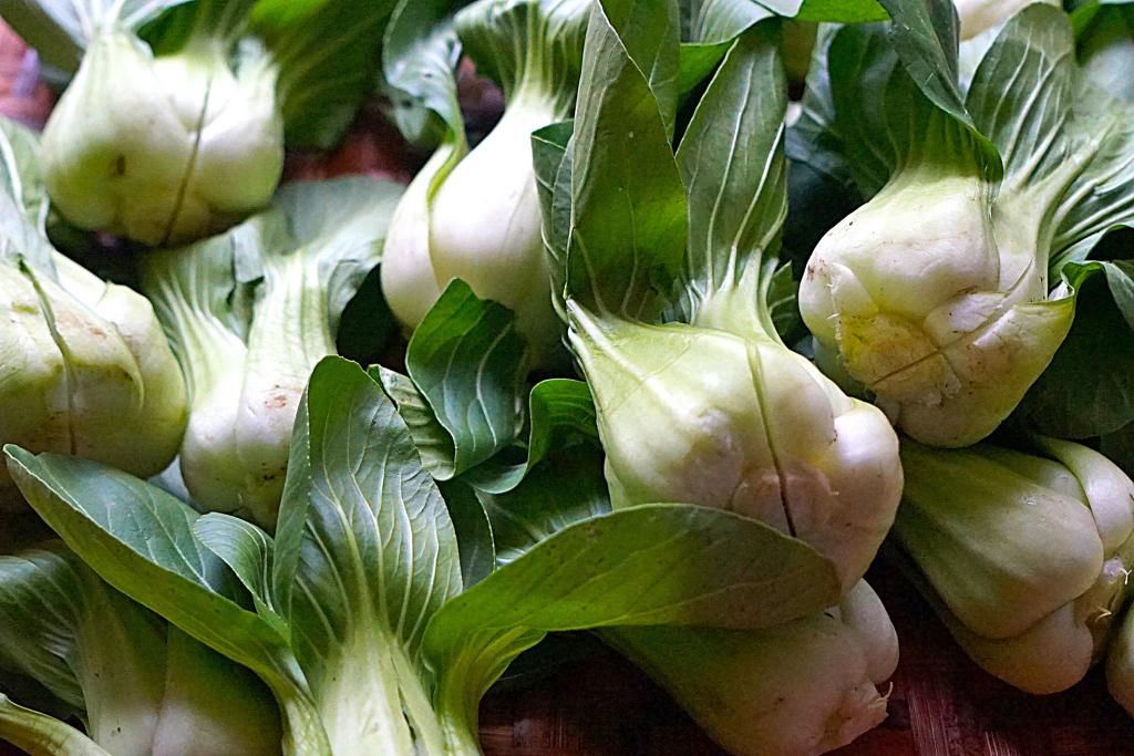  上海青|酸菜这样方法超简单，6天变酸，不易腐烂更加酸脆，自己腌够味道