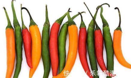 红蜘蛛|花盆里有虫子，有人竟然喷洗衣粉液，撒风油精，连蚊香也用上了