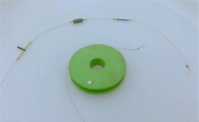鲫鱼|秋季钓鲫鱼,最具特色钓法,长竿双坠挂白虫,“专业”野钓大鲫鱼