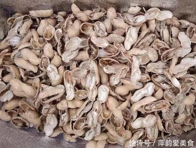 路边捡点它,开水一烫扔盆里,养花10年不烂根!