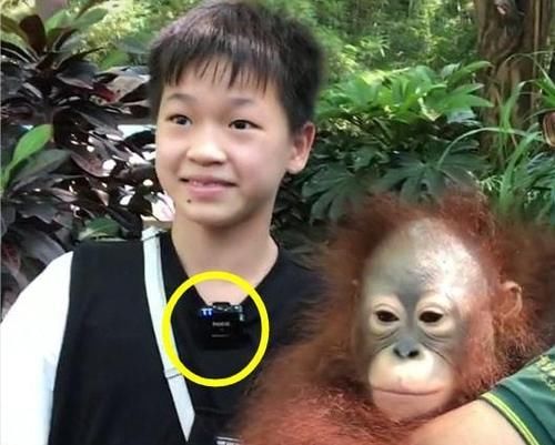 捞金|全红婵坐大摆锤毫无畏惧，双手比耶太开心，不上任何综艺拒绝捞金