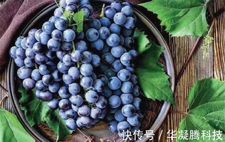 痨嗽|健康是吃出来的,3种食物天天吃,补充营养,提高免疫力!