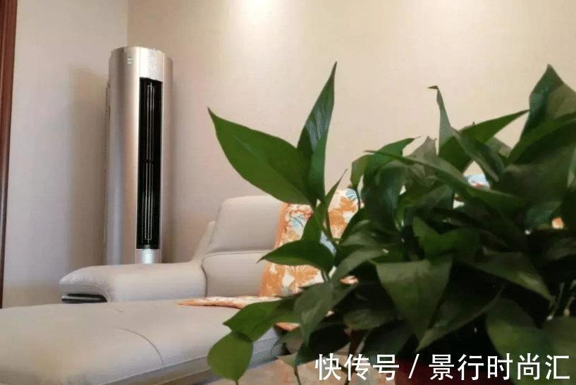 客厅两个地方千万别“养花”,养了也尽快搬走,别不当回事!