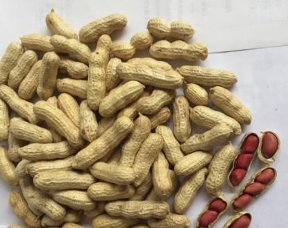 吃法|花生怎么吃最养生？医生提醒：2种错误吃法，会诱导心脏病