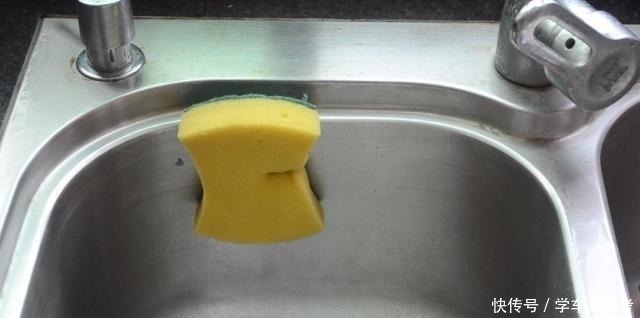 窗帘|洗碗池里放一个窗帘挂钩，真是厉害，一年能省下不少钱，涨知识了！