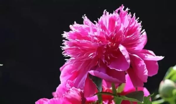 时辰|出生时辰暴露了你的财运,谁是天生财神命,12个时辰12种不同命