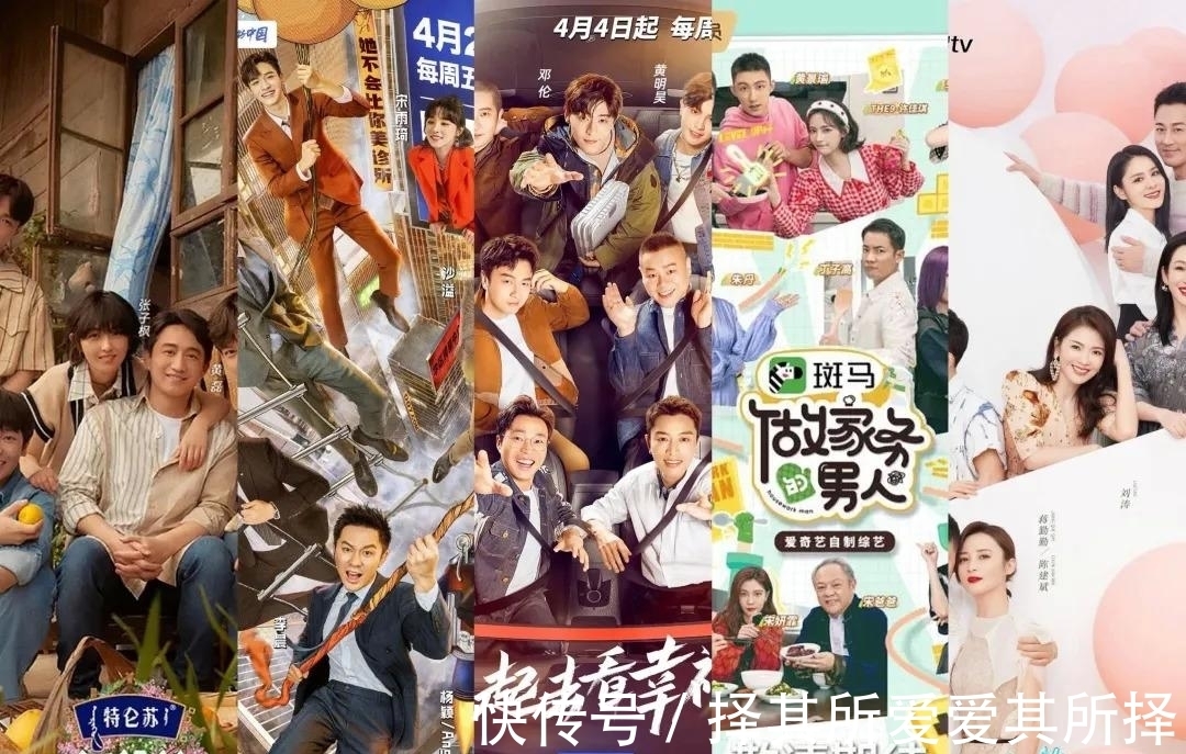 在线教育|Q2综艺招商战报:品牌主的钱流向了哪里?