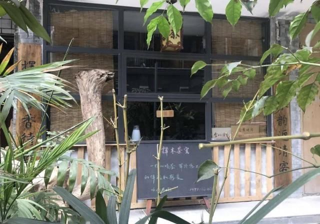 海棠记忆海棠院里寻春色日炙荐红满院香