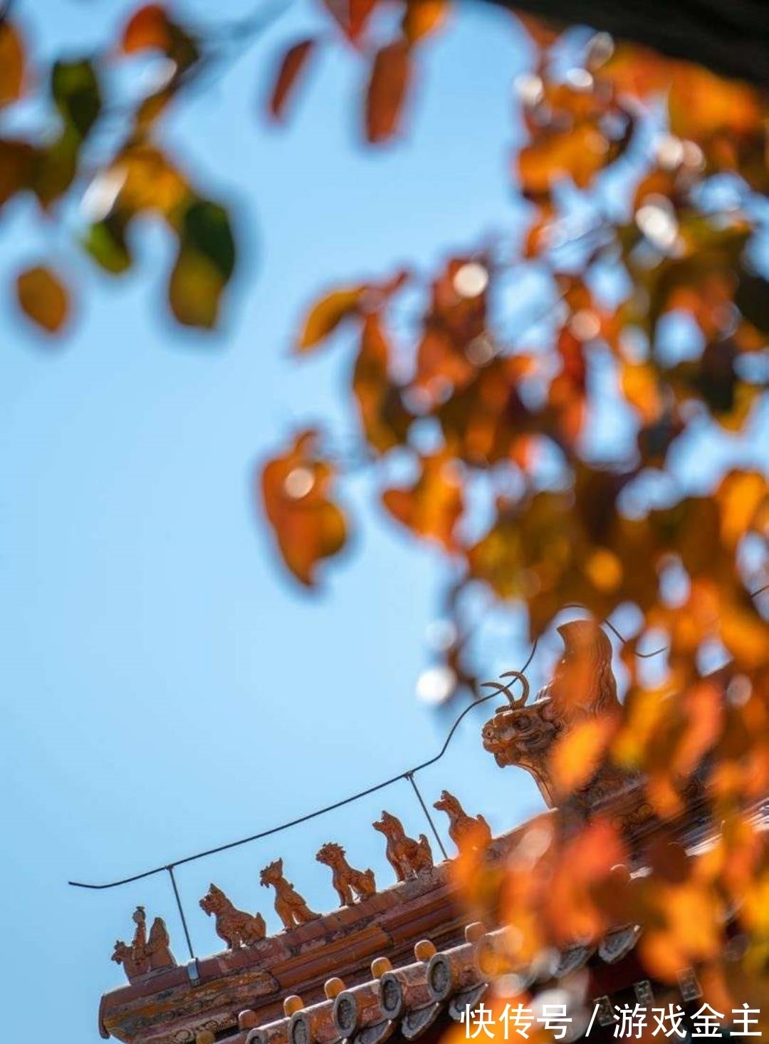 同时代|贾岛写给朋友的诗，比喻生动格调轻快，短短4句说尽作诗辛苦