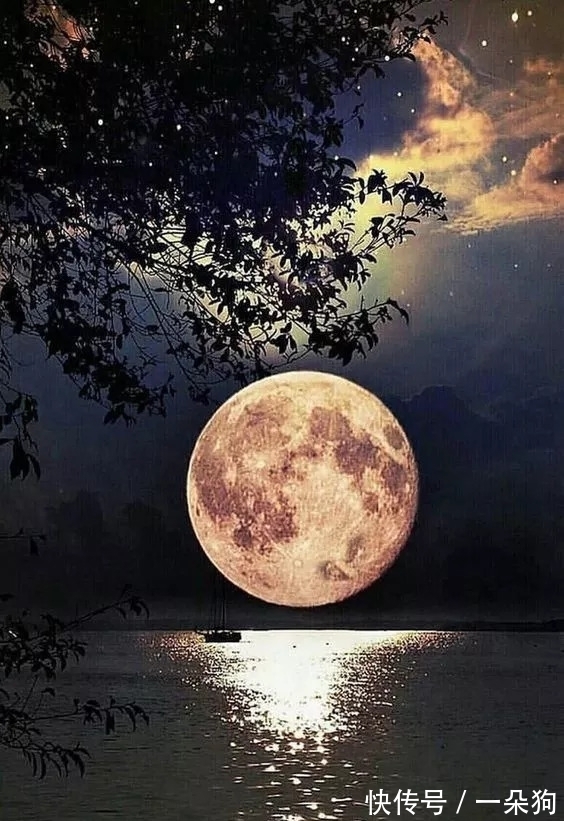 天涯|夜晚读唐诗,让人想家:“灯前一觉江南梦,惆怅起来山月斜”