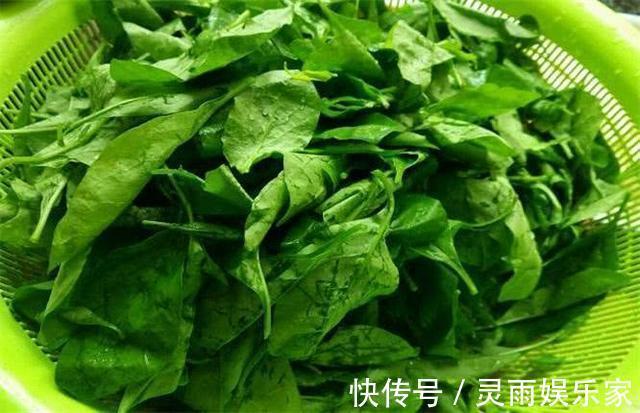 美容|想长寿要先会吃,3种食物换着来,清热排毒,美容瘦身,养护皮肤