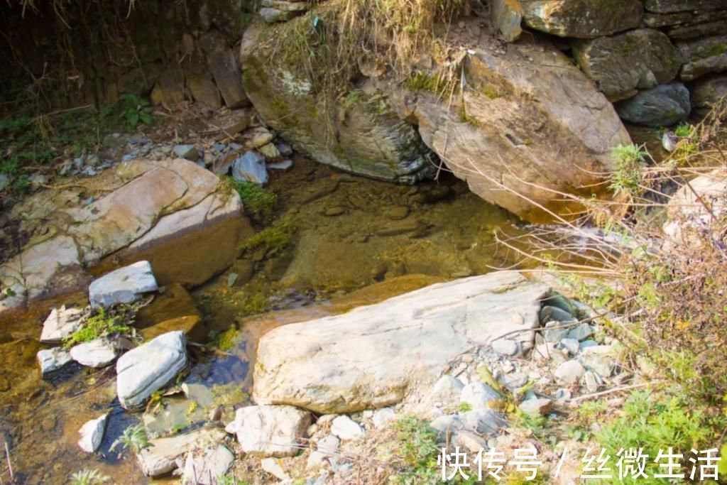 供水|寻访秦岭龙潭村，村口有神树、小庙和山溪，溪水清澈，可以直接喝