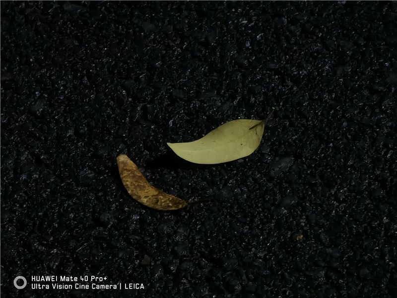 间维度|全球首款自由曲面镜头手机告别畸变!华为Mate40 Pro+超大杯评测