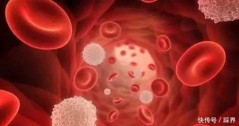 常用桂圓泡水喝，或許能使你的身體收獲3個好處，早試早受益