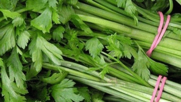 伞形科|吃完芹菜很多人有这习惯,怪不得会容易生病,快通知父母吧!