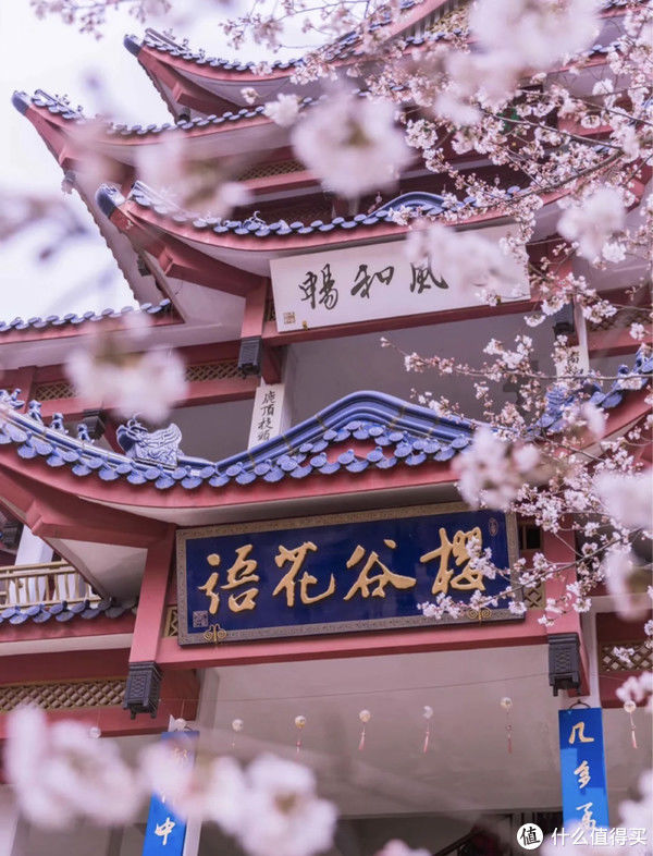 中年|全国赏花地图,花期一篇看完!再过10天,全世界都要羡慕死中国了!