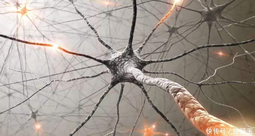 酸石榴|想长寿全靠吃!这3种食物老人离不开，多吃健脑益智不痴呆
