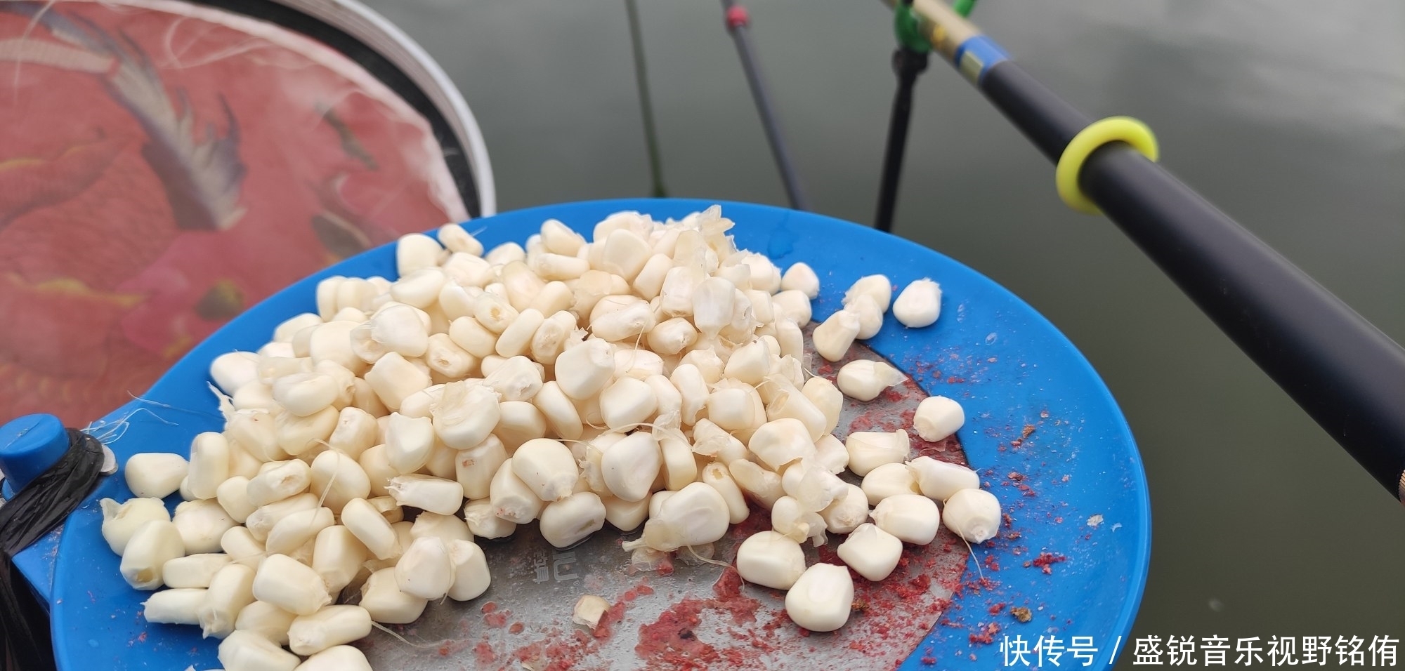 玉米最牛用法，学到就是赚到，狂拔大鲤鱼就靠它了。