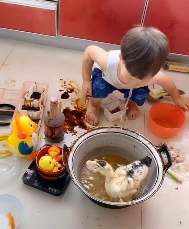 口水鸭|熊孩子3天没吃肉,自己动手做“口水鸭”,鸭子我当时害怕极了