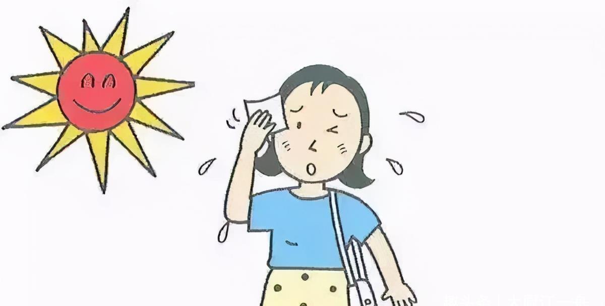 炒菜|三伏天养生,建议每天吃点清淡的,教你3种家庭炒菜,平稳度夏天