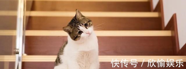 黄芪|经络堵则百病生！经络不通，试试这个方法，有寒去寒，祛湿化瘀！