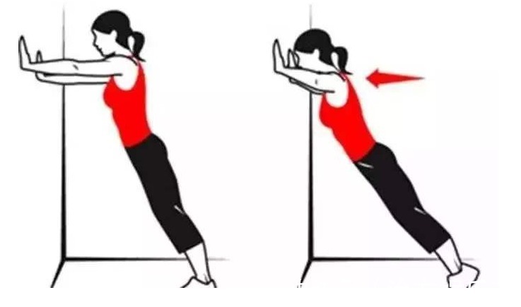 养背是养阳气的总开关，推墙操、滚背操教你提升阳气，受益无穷！