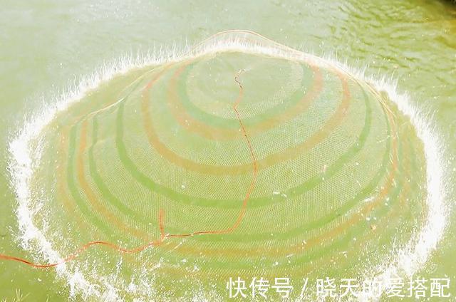 你会怎么做|100斤窝料打窝,下杆刚上一条鱼,旁边来了个撒网的,你会怎么做