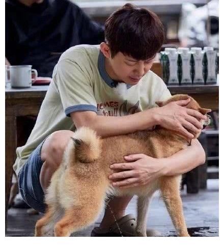 陈情令|明星的错位照,王一博扎马尾辫,看到肖战厉害了!