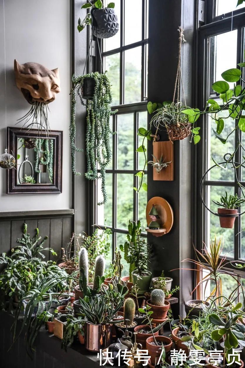 她在屋里种满500盆植物:呆在这样的房子里,生活更有了诗意!
