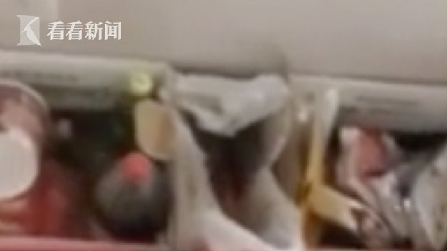 张家界|张家界滞留游客讲述隔离生活 房费由政府承担