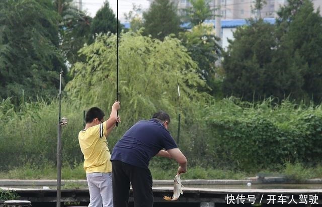 新手钓友如何选择鱼竿的长度老钓友的经验,让你不迷茫