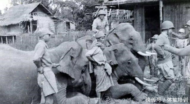 饿死|成吉思汗用了一个绝招，从不让士兵饿肚子，日军效仿竟饿死5万人