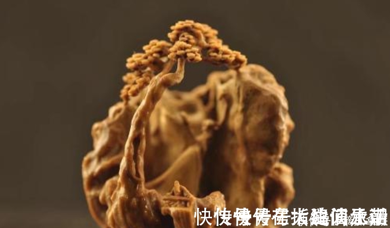 象牙!万国博览会上,中日带着象牙球参展,一个惊艳世界,一个丢尽颜面