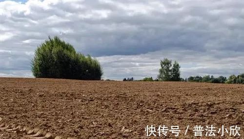 条例|企业在面临拆迁时,应当获得哪些补偿?