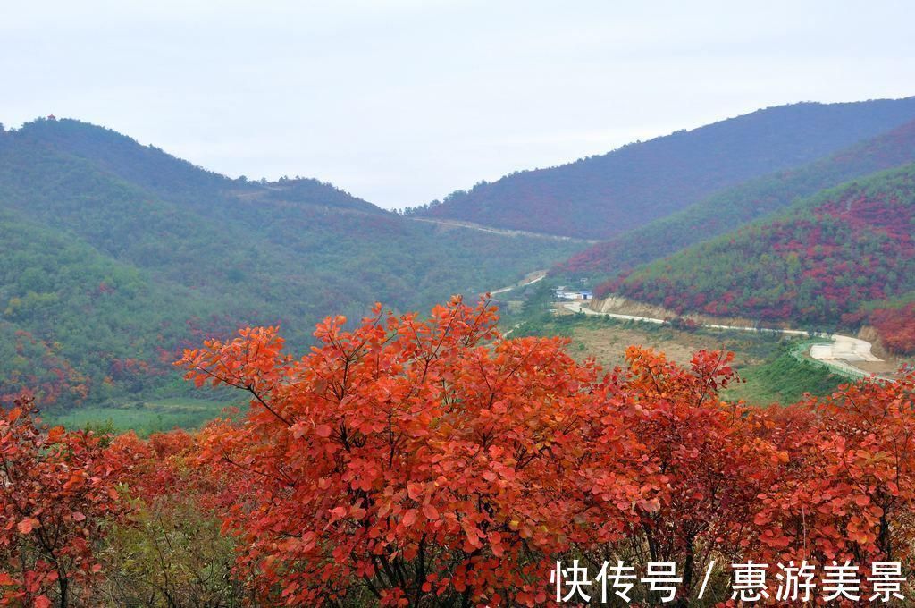 旅游|河南秋季旅游景点推荐 黄岗红叶园旅游攻略 低音号免费语音导游