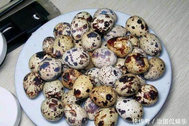 改善|人到中年想长寿,三种食物换着吃,美容养颜,改善体质,早吃早好