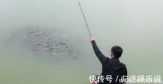 鱼口|钓鱼时,肉眼能看到鱼群,但它们为什么就不上钩?真正原因竟是它