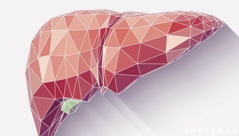 肝脏还|肝好的人,手上可能有3个暗号,哪怕你占一个,肝也比较健康