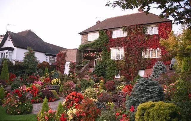  绝美|7旬夫妻用27年建绝美花园，全球花友慕名来“探花”