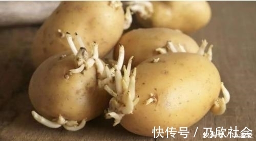 白心土豆和黄心土豆，营养上有区别吗？告诉你日常炒菜，选哪一种