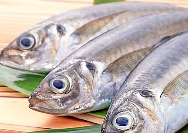 海鱼|以后去市场,就买这5种海鱼,便宜又好吃,鱼铺老板都要夸你懂行