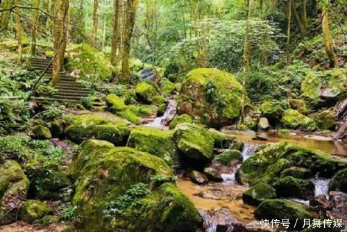 天下风物——《“死亡谷”之谜探秘诡异死亡之地》风光题照