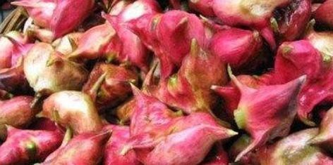 红菱|每天坚持吃三种食物，排毒养颜、延缓衰老，好吃又健康！