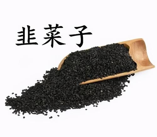 韭子|肾气虚损,不能藏精,一个方子,补肾填精