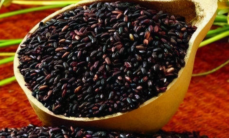 陈医师|会吃的人最健康，3种食物离不开，营养丰富有益健康，试试看