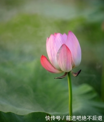 贵人|11月上旬，鸿运当头，4属相贵人相助，事业顺利，生活称心如意