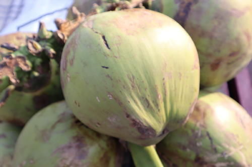 中年|漫游石家庄的户外美景地：正定景观路上的明曦湖