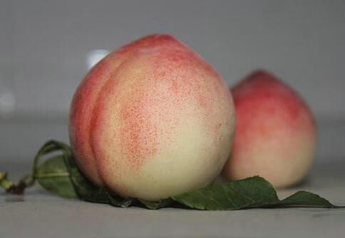 柠檬汁|?它是“天下第一果”,生吃解馋,熟吃食疗效果翻倍